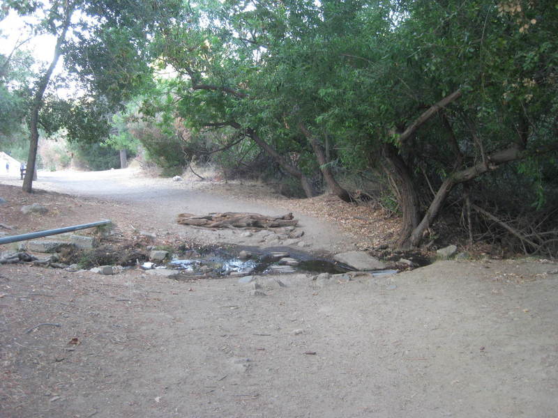 A small creek crossing along the trail