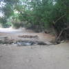 A small creek crossing along the trail