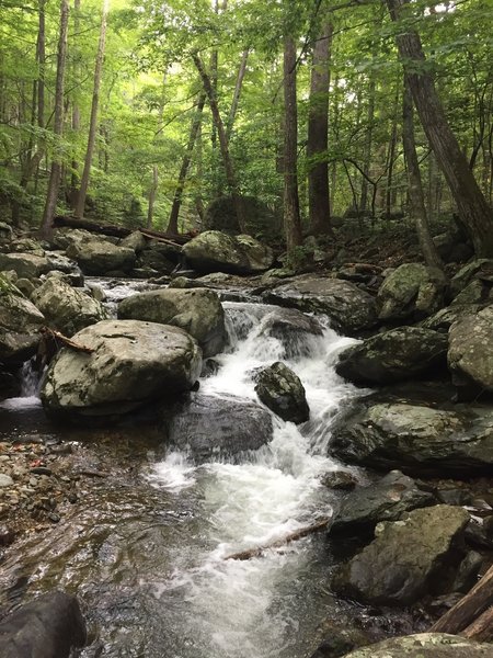 White Oak Canyon.  Heading up near the trailhead.