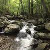 White Oak Canyon.  Heading up near the trailhead.