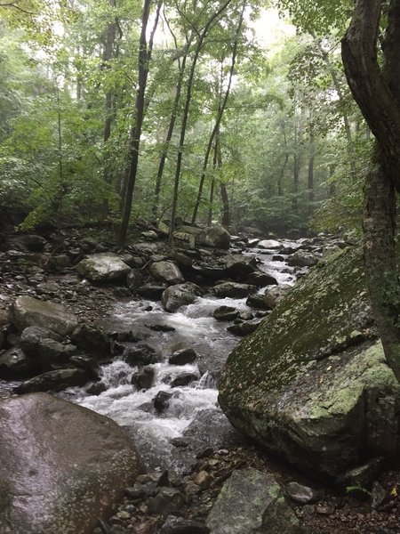 White Oak Canyon. The rain starts, if it ain't raining you ain't hiking.