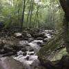 White Oak Canyon. The rain starts, if it ain't raining you ain't hiking.