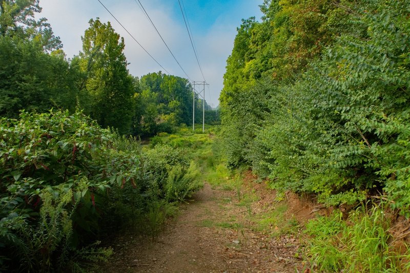 Area before Burnett's Bridge. Can be muddy.