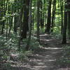 Rocks and Roots hiking trail