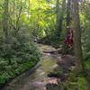 At one point the trail is a small stream you have to hike down. It’s pretty amazing.