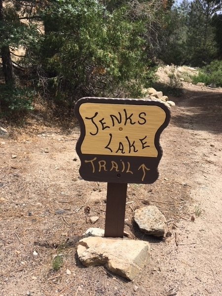 Trail Marker