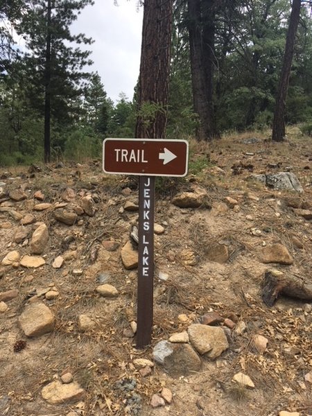 Trail marker