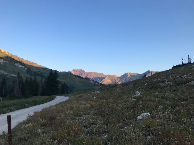 A view of Mount Superior and Cardiff Pass on the horizon from Albion Basin