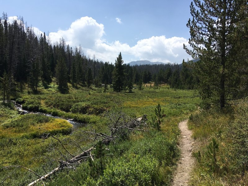 Heading back to the trailhead alongside Corrall Creek.