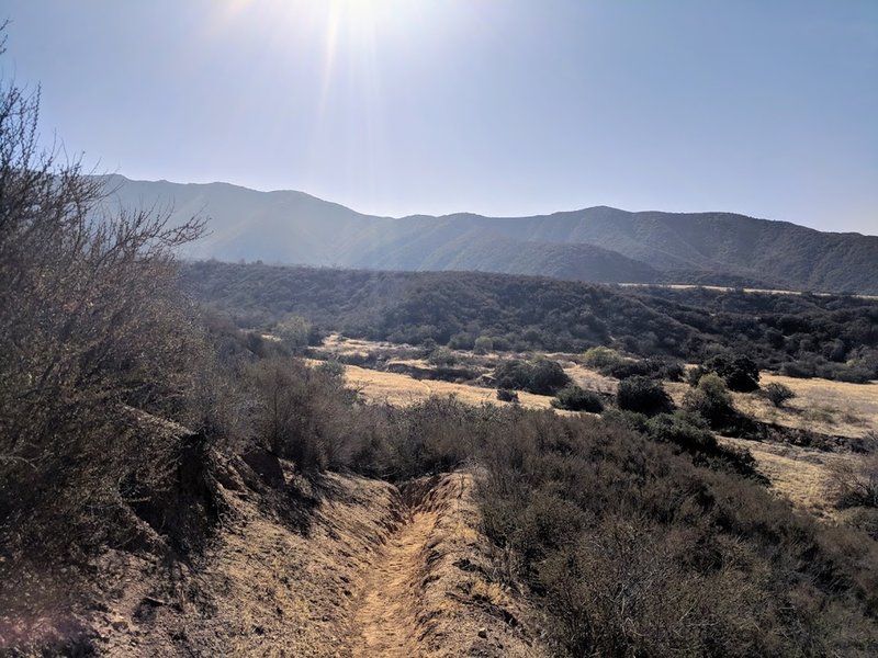 Top of the loop, after a short steep incline.