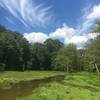 View of wetlands from beginning of boardwalk