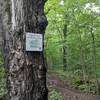 High Point on Bruce Trail