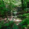 Dry river bed from Ottawa River