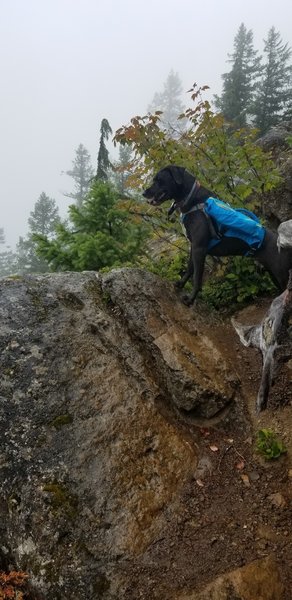 This is at one of the side trails. I'm guessing it'd be a great view if it wasn't cloudy.