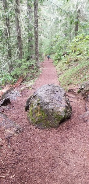 There are 2 small boulders on the trail, this is one.  It's only an issue if you're a cyclist or on horseback.