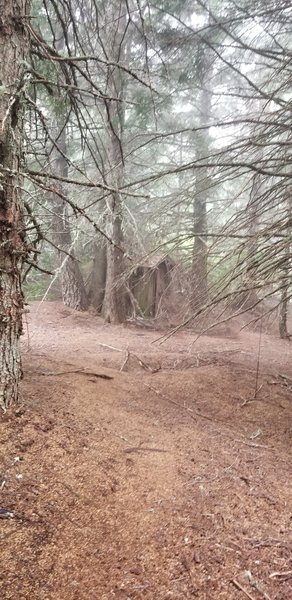 If you see this creepy shack to the right you're almost there.