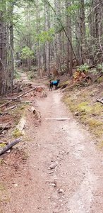 This is towards the start of the trail, it's very dry with some deep steps. It's an easy start.