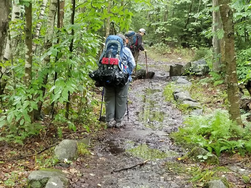 AT heading North toward October Mountain shelter. Several days of rain had fallen prior to this, trail was in surprisingly good shape, but slick.