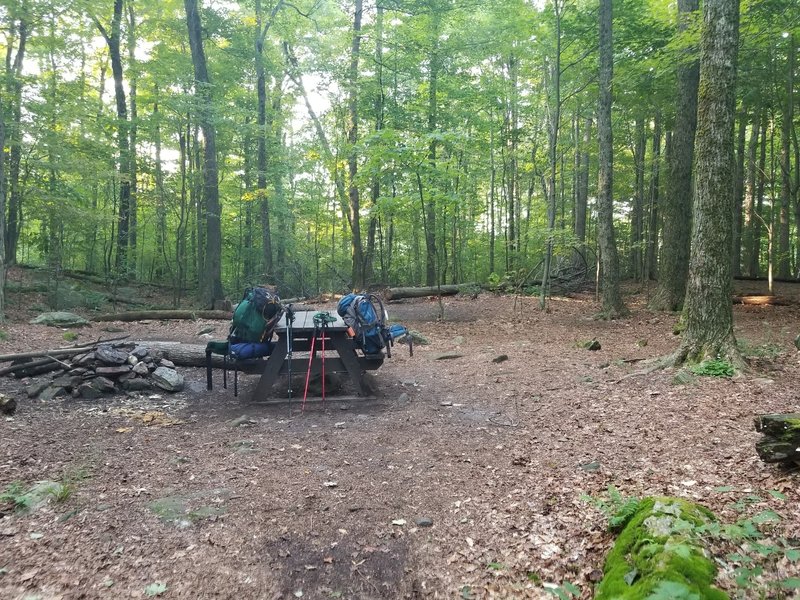 Crystal Mountain Tent site - upper area. Water source is about 1/4 mile down the hill from this area. Picnic table, bear box and privy.