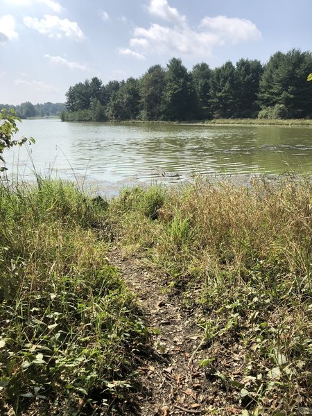 Several little trails lead to the water along the loop