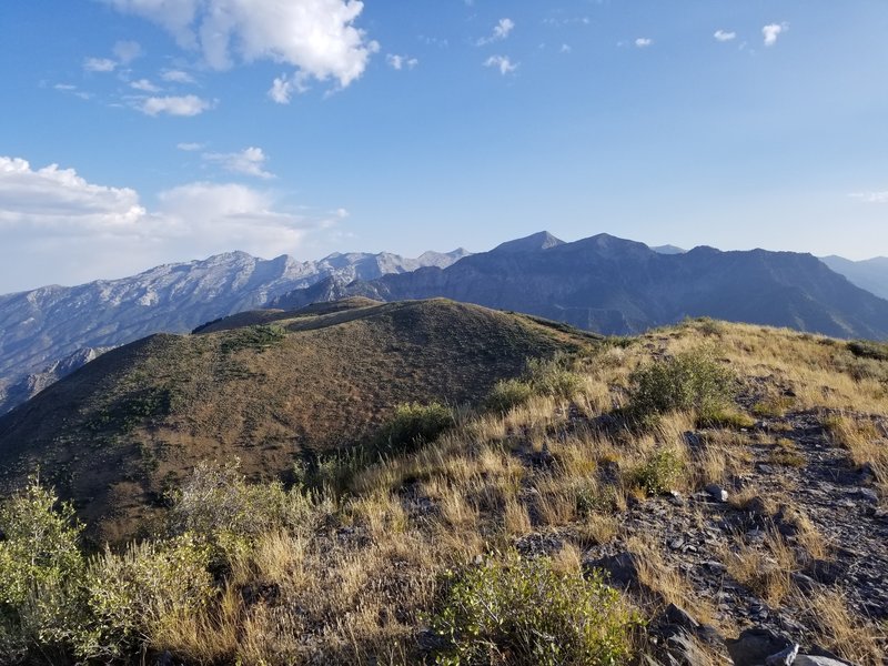 Looking towards Timpanogos from the top of Mahogany.