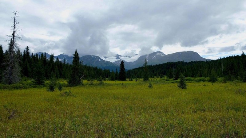 Beautiful meadow looking back to Russian Lakes Trail