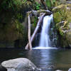 Sweet Creek Falls