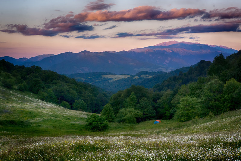 Wild camping at sunset in 'Gyolort' wildflower meadow in the south of Dilijan National Park.