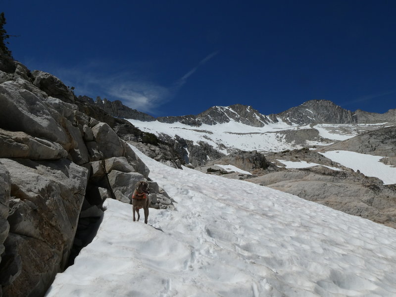 Heading up through the snow to the second of the Conness Lakes on June 20, 2018.