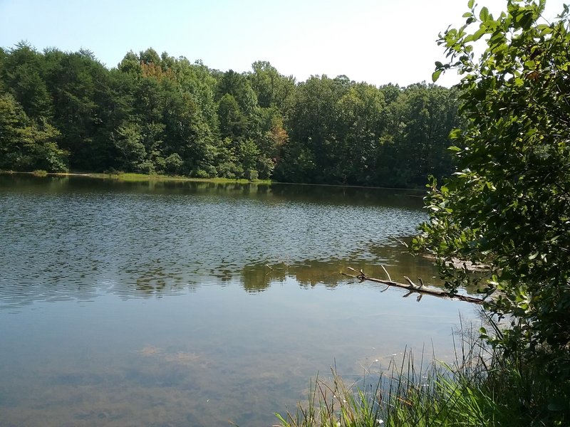 View of the lake