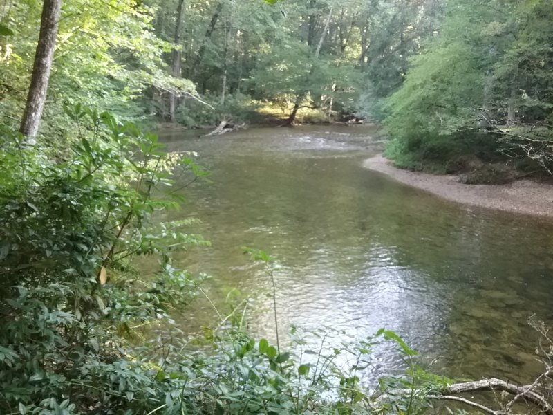 View of Davidson River