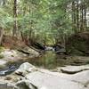 View of Cobb Brook at the top of Hamilton Falls