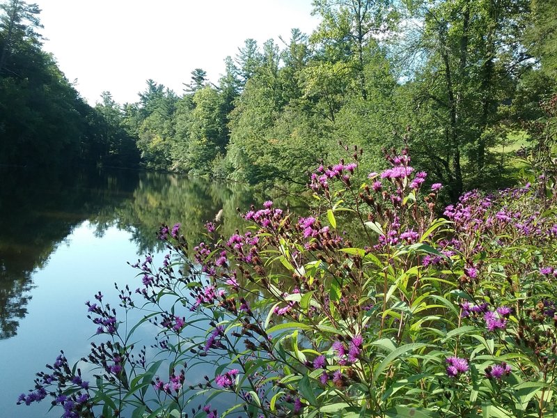 View of the lake