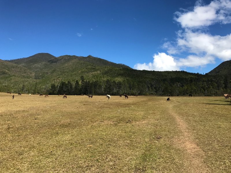 Tetero Valley