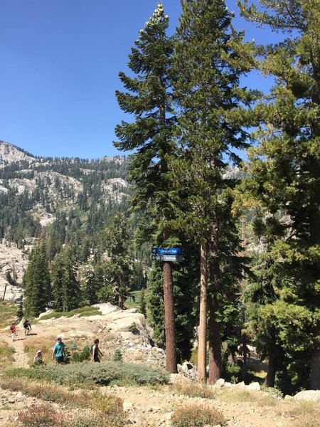 Ski run in summertime - looking down Oregon Trail