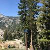 Ski run in summertime - looking down Oregon Trail