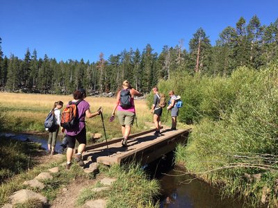 Bridging the creek