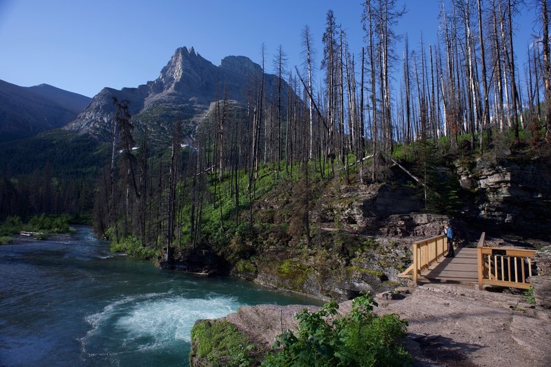 The trail as it crosses over St. Mary River.  There are beautiful views of the mountains through the burnt trees.