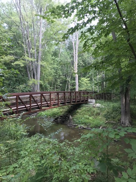 Bridge at For-Mar Nature Preserve & Arboretum