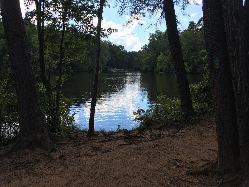 View of Lake Placid from the Lake Placid Trail Loop