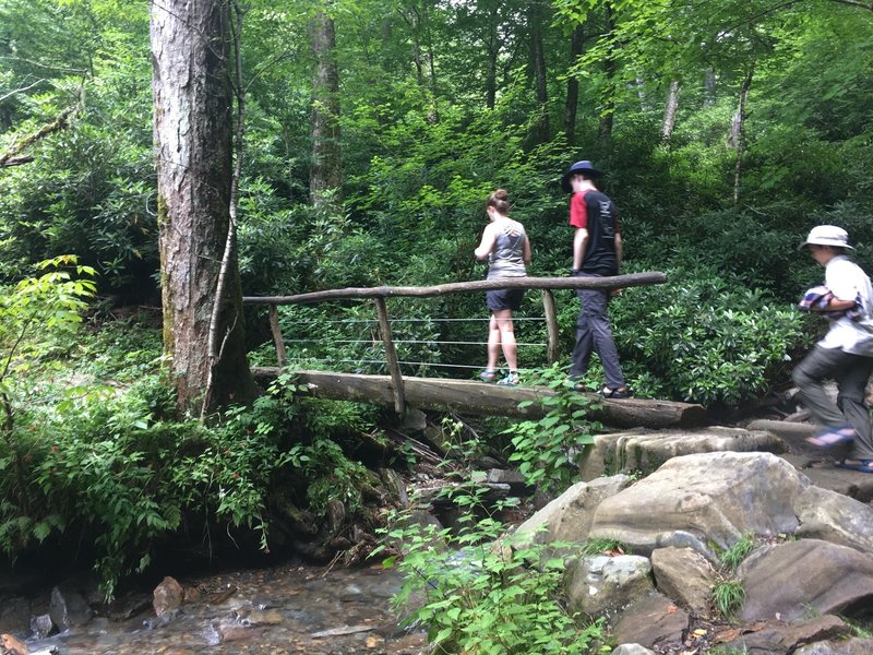 A bridge over a creek on the way to the trail.