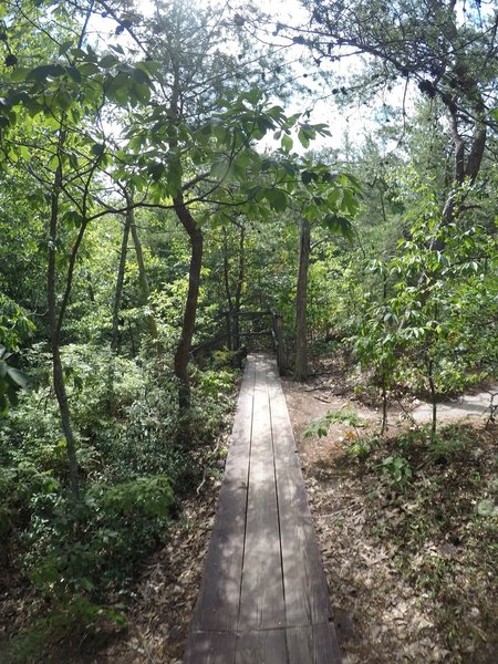 A board walk along part of the trail.