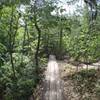 A board walk along part of the trail.