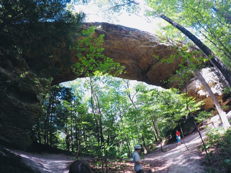 One of the Twin Arches looming above the trail.