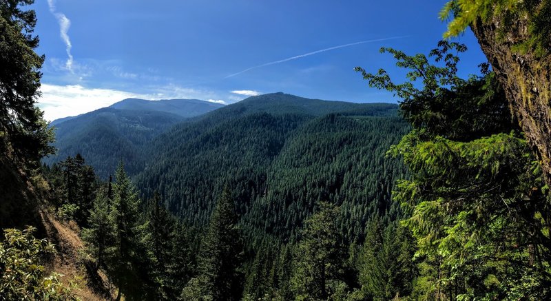 Looking down into the Clackamas valley