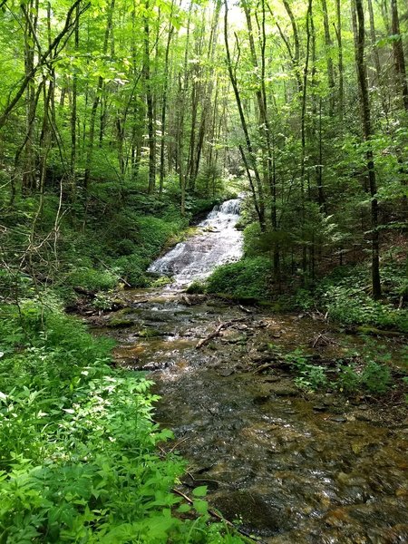 Bear Pen Gap Falls