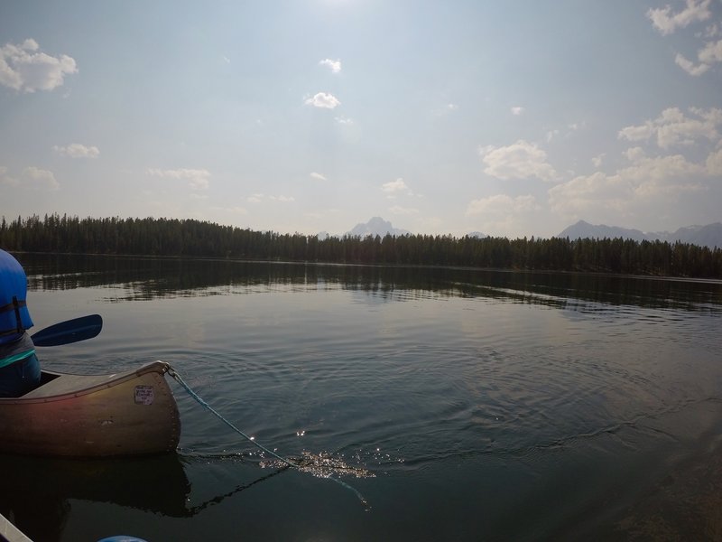 Looking off towards Mt Moran.