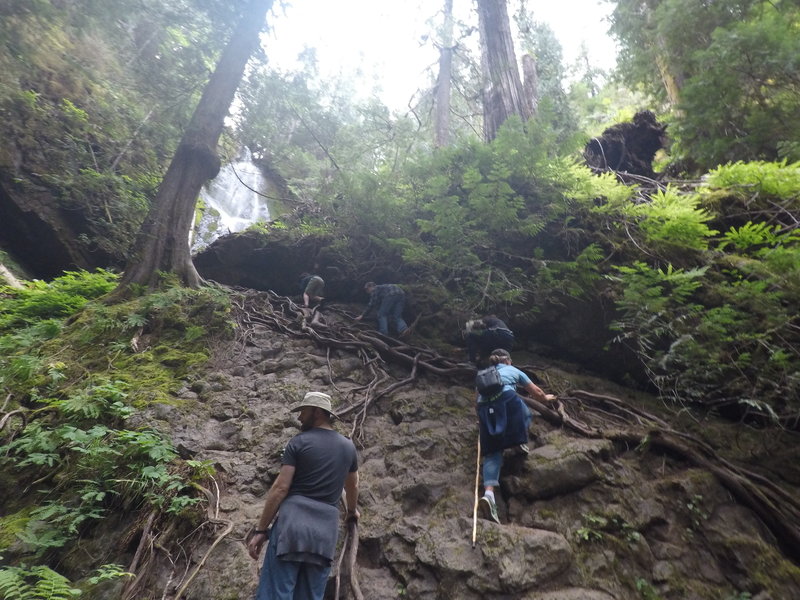 The steep scramble to the upper falls (not necessary to view falls).