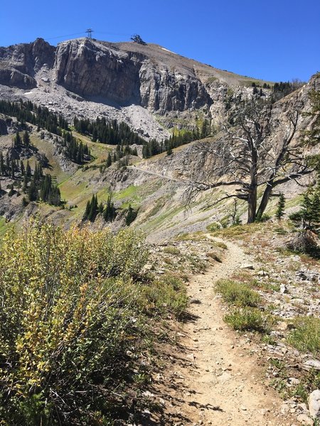 Headed up toward the tram summit