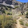 Headed up toward the tram summit